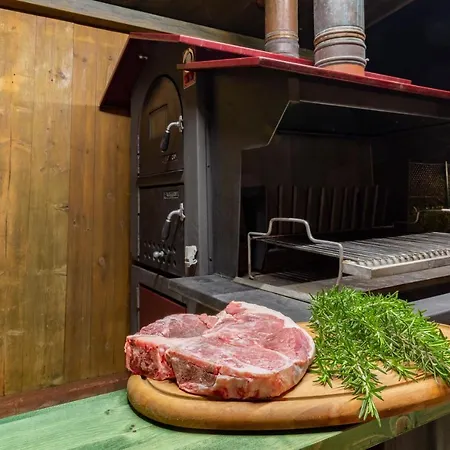 Dolf - Elisa Casa de Férias