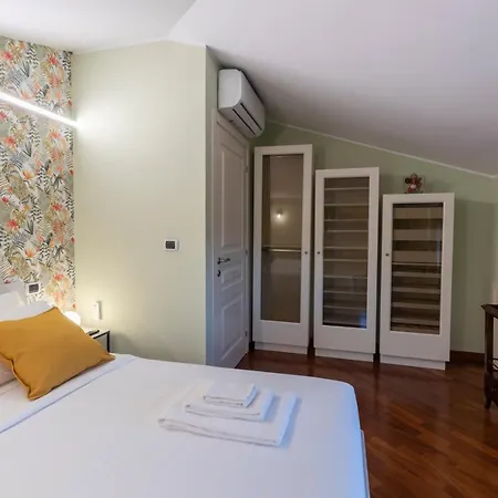 Dolf - Elisa Tolentino