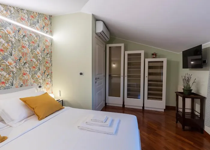 Dolf - Elisa Tolentino